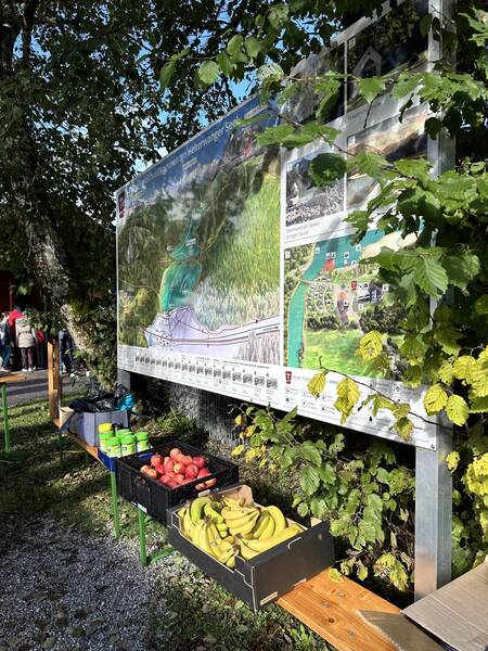 2024_heiterwanger_see_lauf_001.jpg 2024_heiterwanger_see_lauf_001.jpg